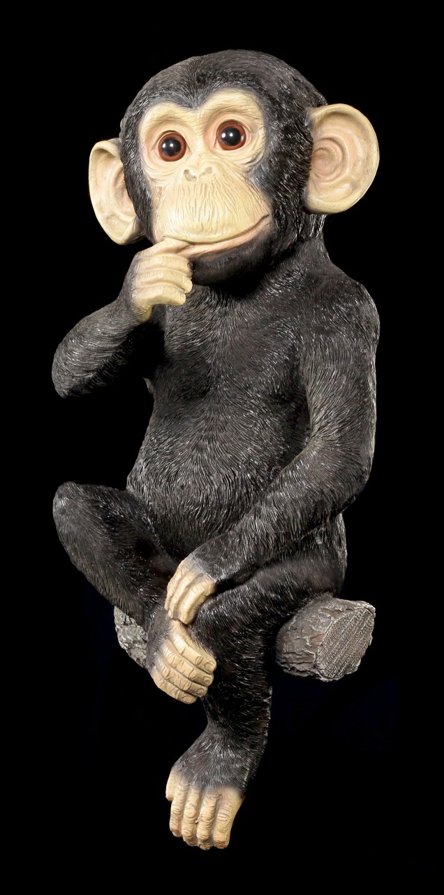 Gartenfigur Affe - Schimpanse zum Hängen