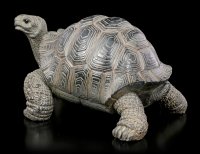 Tortoise Figurine - small