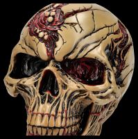 Zombie Totenkopf Figur - The Walker of Death