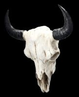 Wall Decoration - Bison Skull