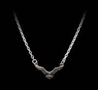 Alchemy Necklace - Ravenette