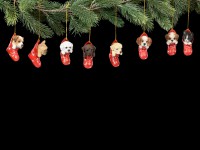 Christmas Tree Decoration Dog - French Bulldog in Stocking