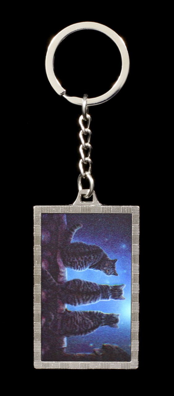 3D Keyring wit Cats - Wish upon a Star