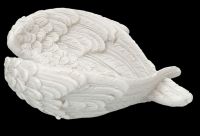 Schale - Weiße Engelsflügel