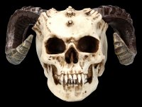 Devil-Skull with Ram-Horns