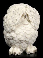 Figure - Three Wise Snowy Owls