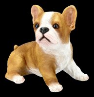 Garden Figurine - Bulldog Puppy