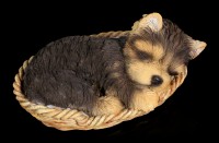 Dog in Basket Figurine - Yorkshire Terrier