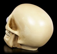 Skull with Rolling Eyes - Wilfried large