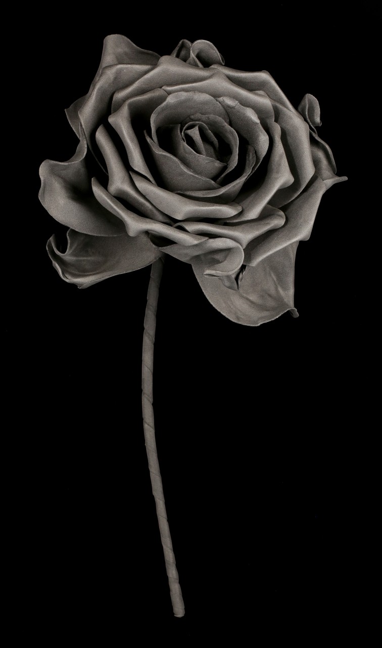 Schwarze Rose mit Stiel