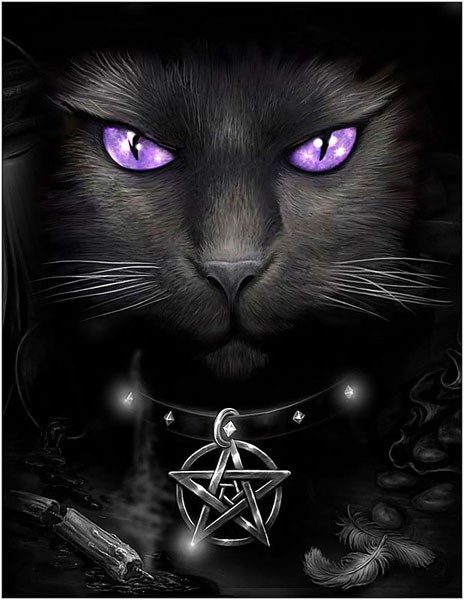 Black Cat - Spiral Gothic Poster