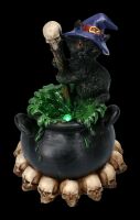 Witches Cat Figurine with LED - Spook brews Potion