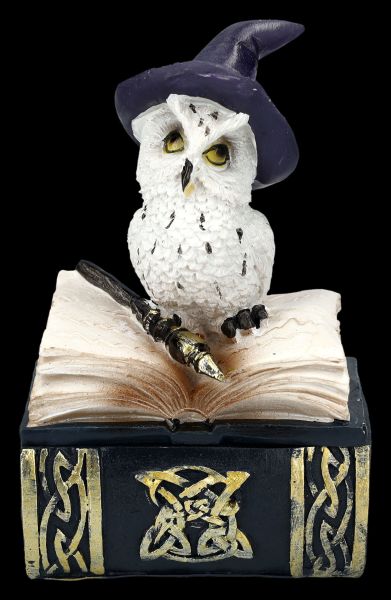 Owl Figurine with Wand and Hat on Book Box