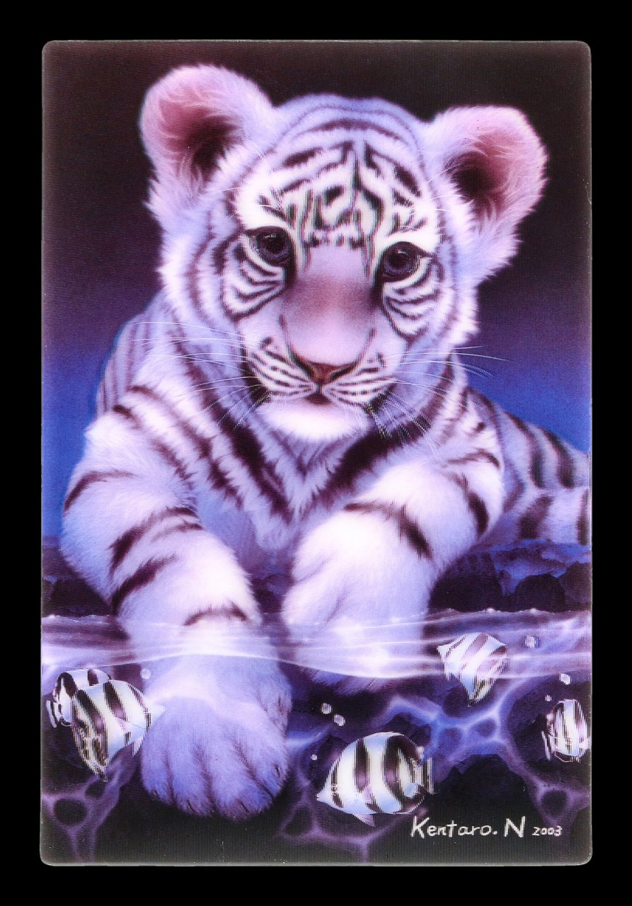 Baby Tiger Postkarte 