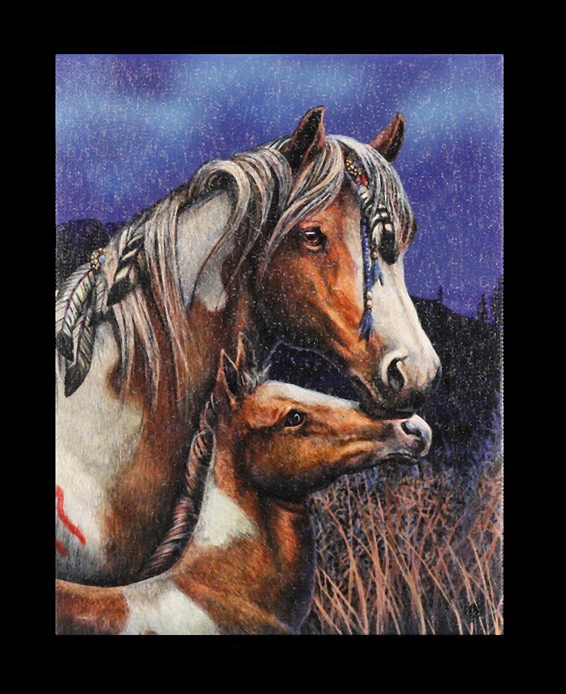 Small Canvas - Apache by Lisa Parker
