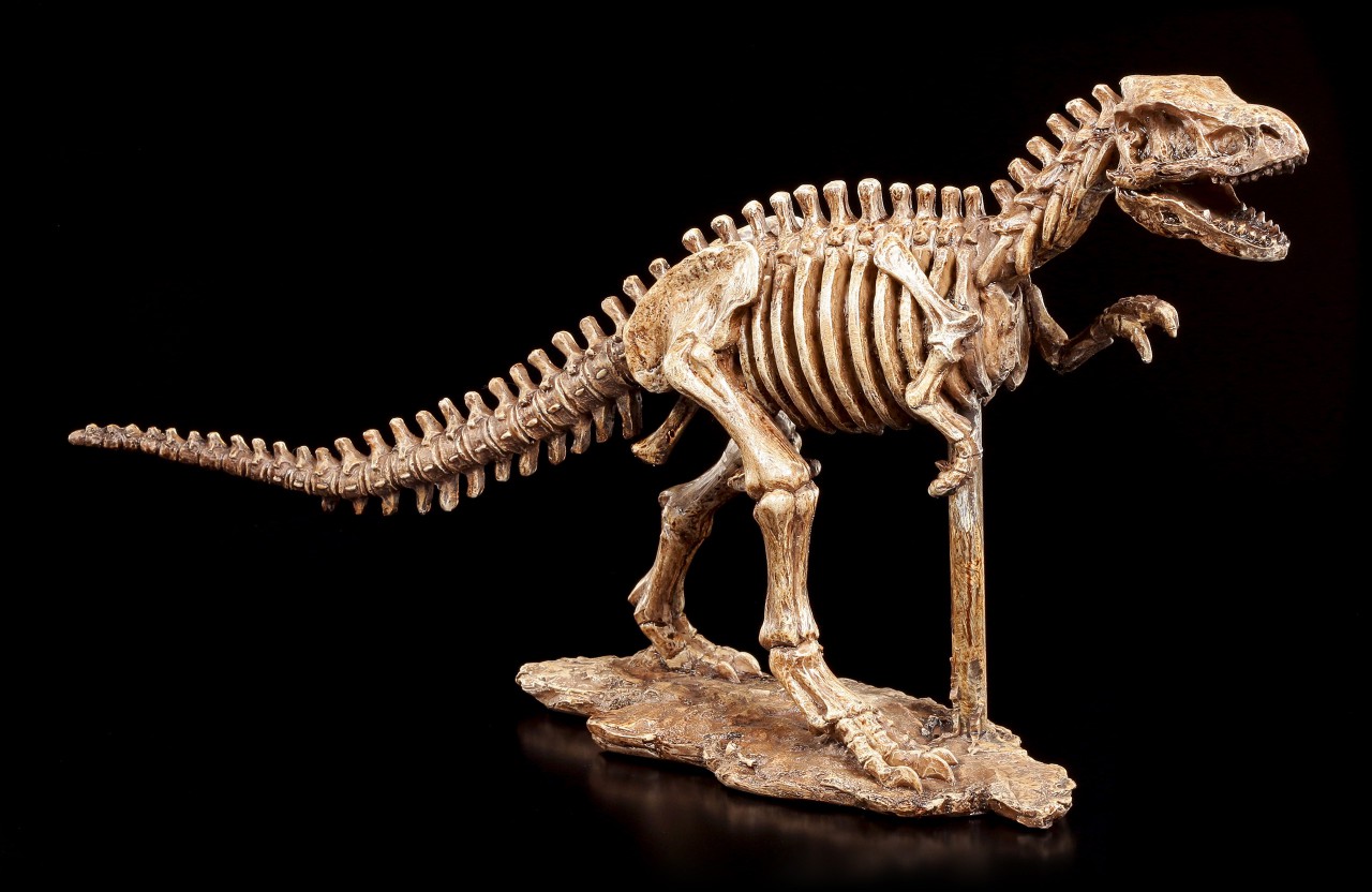 Dinosauier Skelett T-Rex Figur Dekoration Deko Statue Jurassic Sammler NN30 