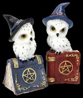 Owl Figurines on Spell Book Set of 2