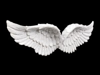Wall Plaque - Angel Wings with Glitter