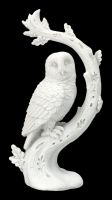Owl Figurine white - Rest