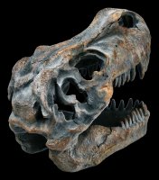 Totenkopf - Tyrannosaurus Rex - klein