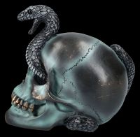 Totenkopf mit Schlange - Serpentine Fate
