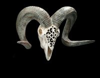 Wall Plaque - Carved Ram Skull