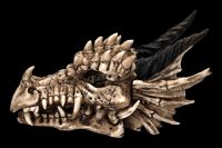 Schatulle - Drachen Totenschädel