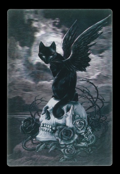 3D Postkarte mit Katze - Nine Lives Of Poe