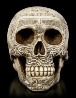 Skull - Germanic