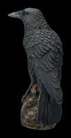 Black Raven Figure