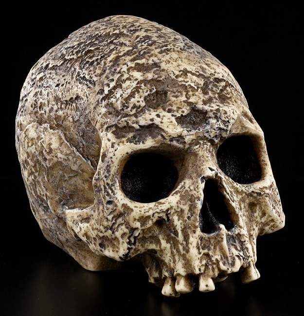 Skull - Graveyard Skull