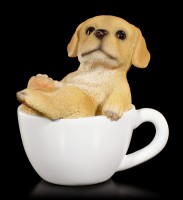 Dog in Cup mini - Labrador Puppy