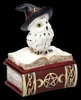 Box - Witch Owl on Book red