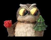 Funny Owl Figurine - Element Earth