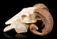 Widder Totenkopf - Skrimshaw Ram Skull