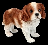Spaniel Welpe in Tasse Hunde Figur mini niedliches Hundbaby Deko Geschenk 