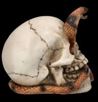 Totenkopf Figur - Kobra Schädel