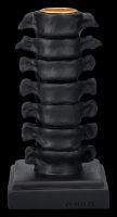 Candle Holder Spine - Vertibrae