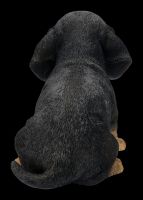 Dachshund Puppy Figurine