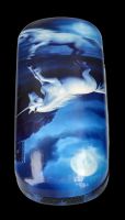 Glasses Case - Moonlight Unicorn by Anne Stokes