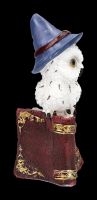 Snowy Owl Figurine with Magic Book - red