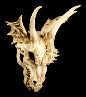 Wall Plaque - Skull of the last Dragon