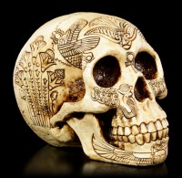 Skull with Ancient Egyptian Decorations
