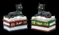Schatullen Set - Katzen auf Büchern klein