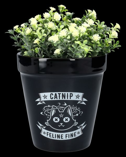 Flowerpot Gothic - Catnip