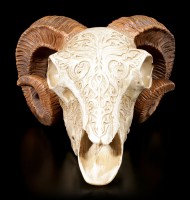 Widder Totenkopf - Skrimshaw Ram Skull