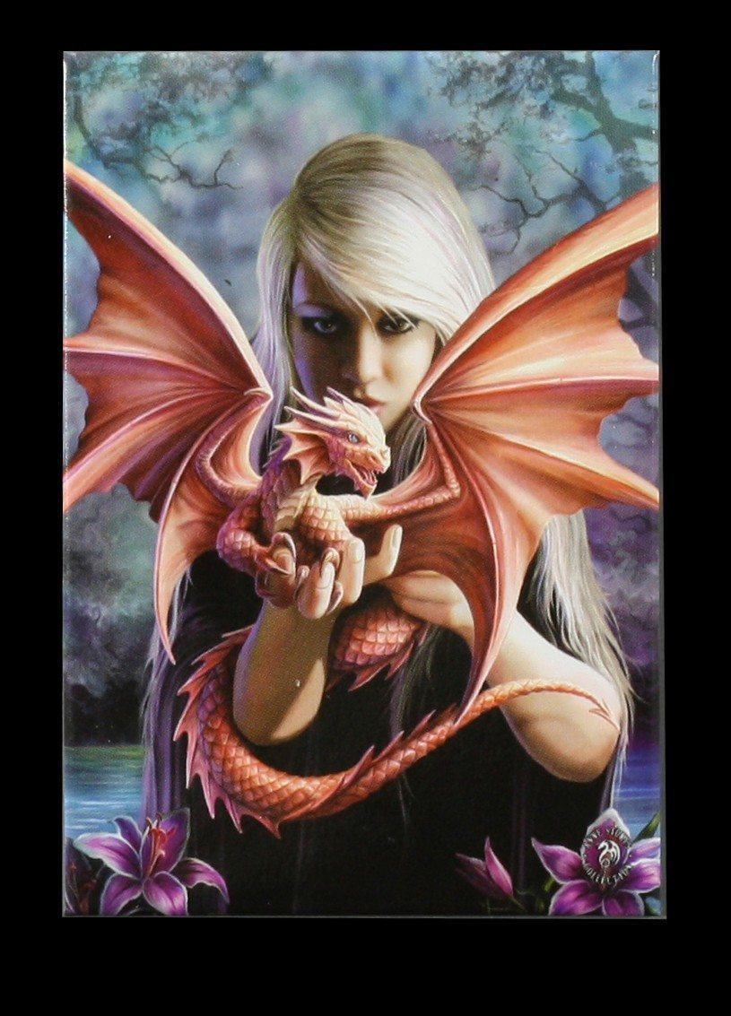 Dragonkin Fantasy Magnet by Anne Stokes