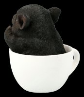 Schwarzes Schweinchen in Tasse