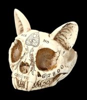 Ashtray Cat Skull in Ouija Design