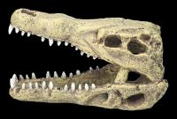 Aquarium Figurine - Crocodile Head M